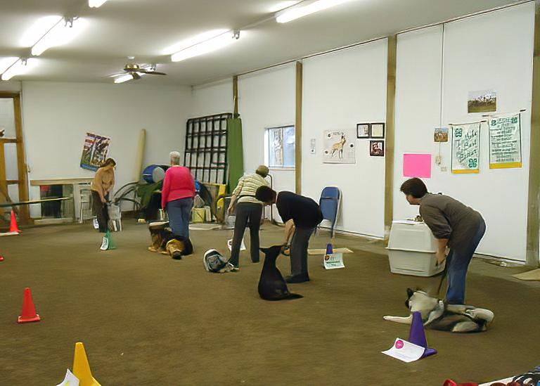 Dog training titles and certifications