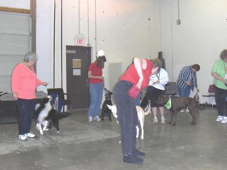 Dog training titles and certifications