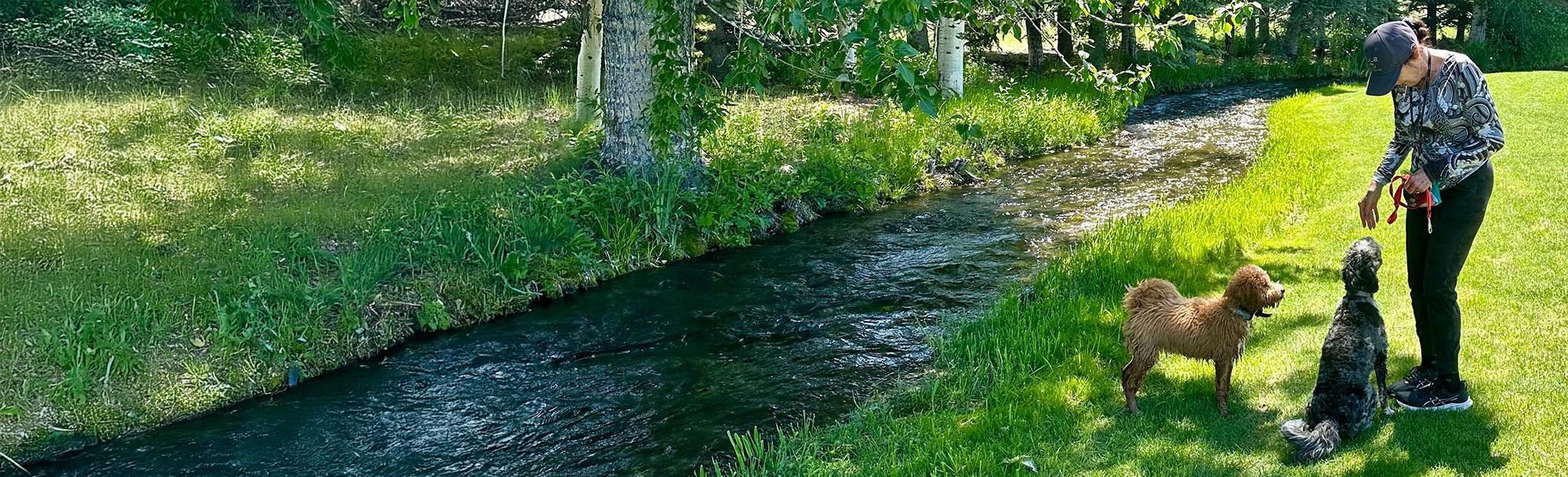 Reinstatement Request