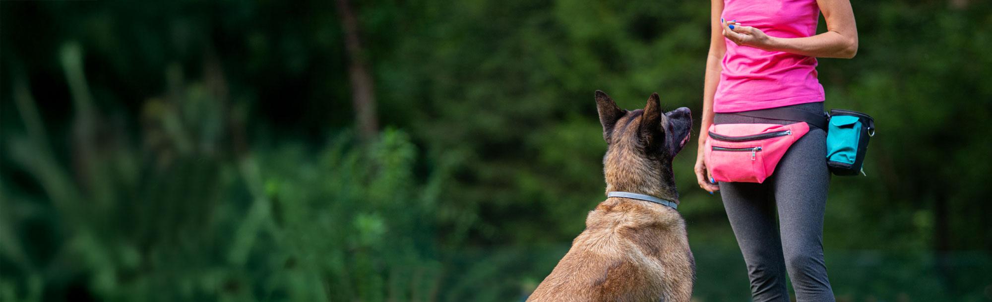 NADOI Vocational Training Program