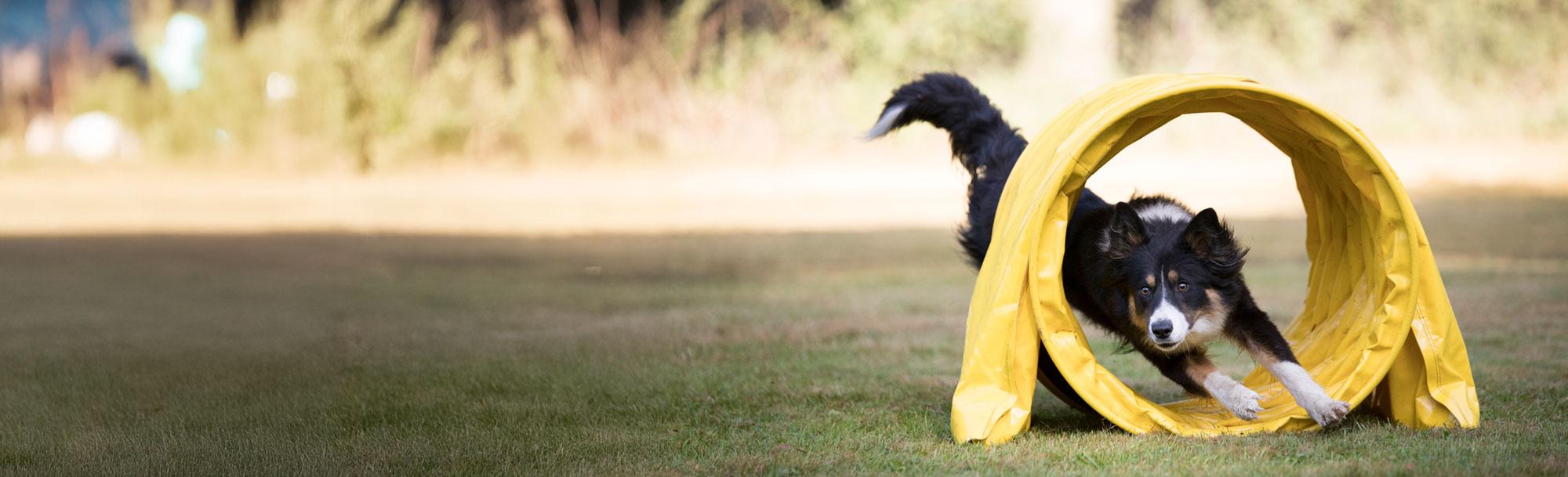 Additional Certifications