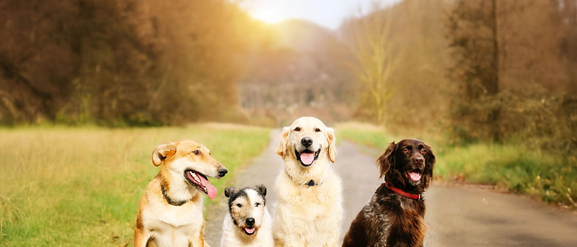 Eastern Regional Gathering