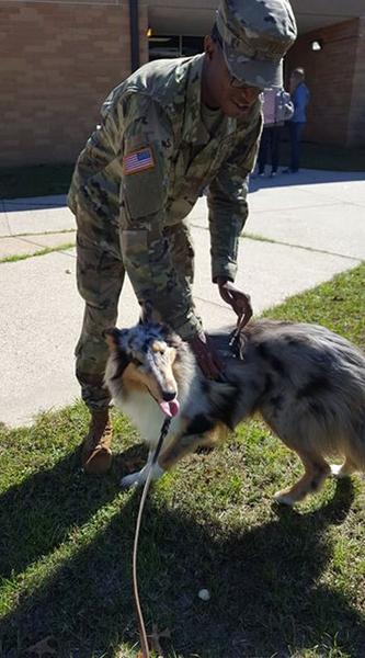 Dogs of NADOI - Cawley