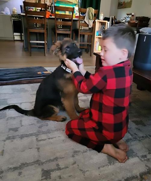 Dogs of NADOI - Jewell