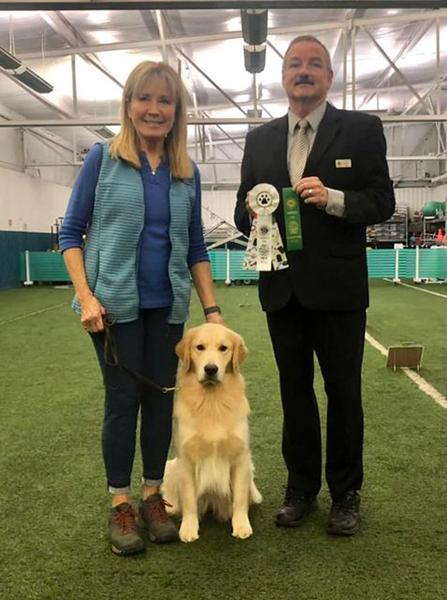 Dogs of NADOI - Smith